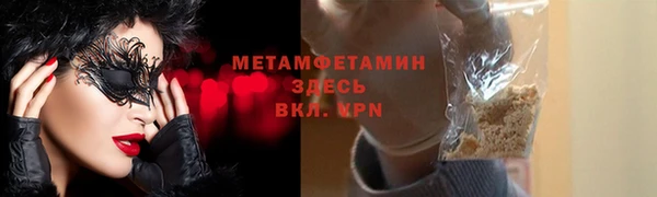 шишки Грязовец