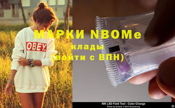 шишки Грязовец