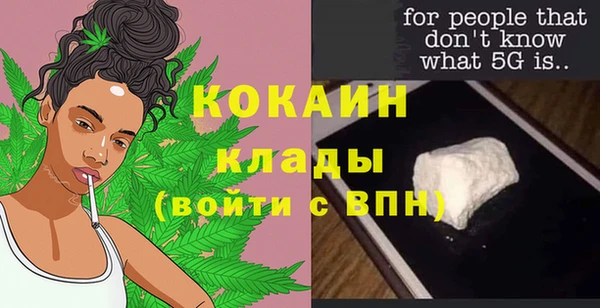 молекула духа Нягань